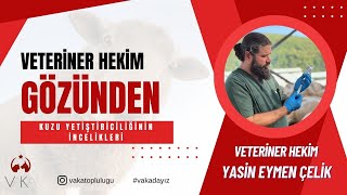 Veteriner Hekim Yasin Eymen Çelik ile Veteriner Hekim Gözünden Kuzu Yetiştiriciliğinin İncelikleri [upl. by Idonna623]