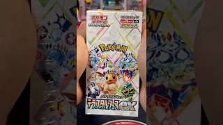 Should I Open it Or Should I Keep it Sealed  Episode 140  Terastal Festival Booster Box pokemon [upl. by Amrita321]