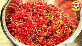 Johannisbeeren Gelee super einfach und lecker [upl. by Rabush631]