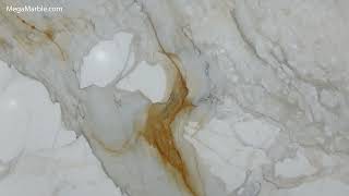 Calacatta Gold Honed Marble Slab 1 14 inch [upl. by Fleeta]