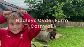 Healeys Cyder farm Cornwall [upl. by Ntsuj]