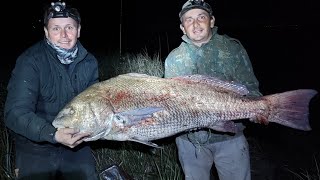 corvina negra gigante record general Lavalle 30kilos [upl. by Ikkin]