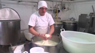 produzione mozzarella casaro giuseppe pellicoro [upl. by Petrine593]