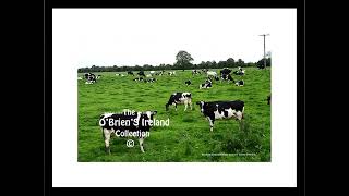 Rathan County Offaly Ireland [upl. by Azer]