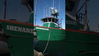 Charleston Oregon Fishing Boats [upl. by Kinnard]