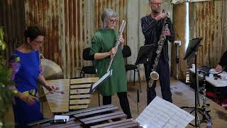 Brenda Gifford Bardju with members of Ensemble Offspring [upl. by Durand]