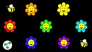 Baby Sensory Video  Flowers  High Contrast Colours Music and Fun Animation [upl. by Jemine]