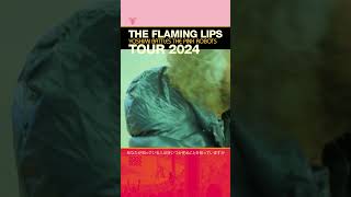 Making new vocal effects for Steven and Derek for the next Yoshimi shows flaminglips [upl. by Ziegler]