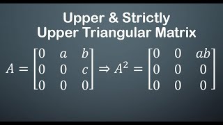 Lec  13 Upper Triangular  Strictly Upper Triangular Matrix  CSIR NET  IIT JAM MA  GATE MA  DU [upl. by Eelirem26]