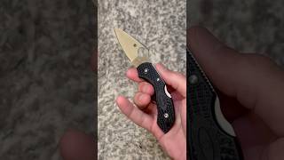 Spyderco Dragonfly Spydie Flick [upl. by Kristoforo446]