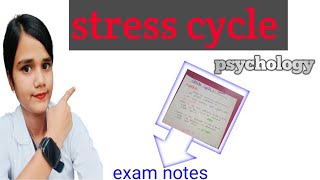 stress definition stress cycle  psychology [upl. by Mccormick959]