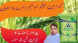 Use of Calcium Ammonium Nitrate in Wheat CropCane Gawara ka EstimalGhulam Shabeer Velogs [upl. by Skurnik]