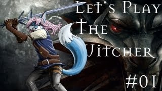 Lets Play The Witcher  Enhanced Edition 1  Intro und Los DeutschHD [upl. by Loats337]