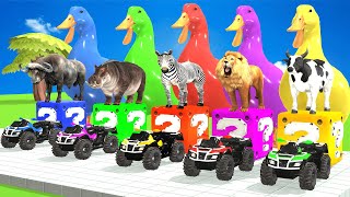 Paint Animals Gorilla Hippo Cow Buffalo Lion Elephant Fountain Crossing Animal Game [upl. by Ahsekal]