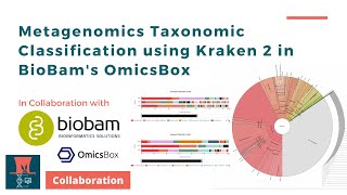 Metagenomics Taxonomic Classification using Kraken 2 in BioBams OmicsBox [upl. by Anaillil34]