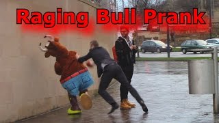 Epic Raging Bull Prank collab with mr lee Marshall [upl. by Grier]