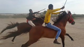 Horse Race in MandviVijay Vilas Place Kutch  Veer Vs Moti [upl. by Miehar]