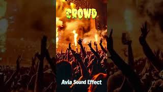 Crowd Sound Effect shorts [upl. by Janka]