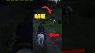 You Won’t Believe These Rare Horses Exist in RDR2 🐴 rdr2 reddeadredemption Rare Horses RDR2 [upl. by Allerus]