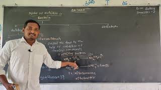 Modes of Nutrition in BacteriaFor BSc Botany  SemesterI [upl. by Terrag]