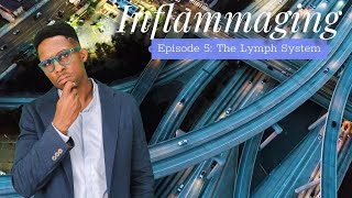 Inflammaging  Episode 5 The Lymph System [upl. by Baumbaugh320]