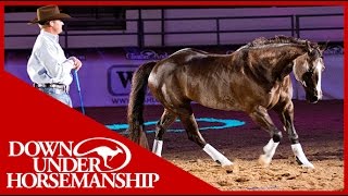 Clinton Anderson with his amazing horse quotMindyquot in Vegas 2010 [upl. by Issor]