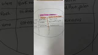 Herpangina vs Hand Foot amp Mouth Disease Quick Differences Explained in Less Than a Minute [upl. by Mccurdy]