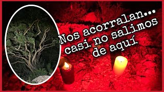 NOS ATACAN LAS BRUJAS Tienes que verlo [upl. by Kalli532]