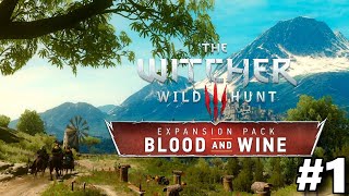 Welcome to Toussaint  The Witcher 3 Blood and Wine  Gameplay Part 1 [upl. by Barcus454]