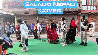 Purba Bata Paschimai Salaijo Dance  Deusi Vailo Tihar Dance  New Dance Creation [upl. by Eenaffit]