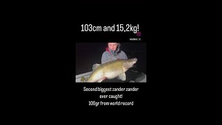 15kg Zander [upl. by Sibley]