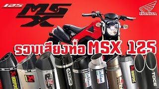 ท่อ MSX125 รวมเสียงท่อยอดนิยม MSX125 Exhaust [upl. by Horlacher867]