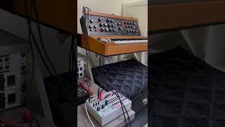 Intellijel Metropolix Solo with Moog Model D [upl. by Ynavoeg]