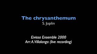 The chrysanthemum S Joplin [upl. by Eide]