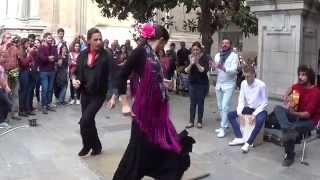 Flamenco dance 7 in Granada 2015 [upl. by Siloum]