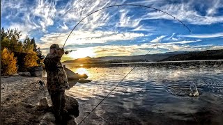 Catching A Big Rainbow Trout Right At Sunrise  Big Bear Lake California Fishing micetails [upl. by Bausch]