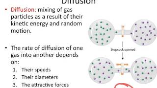 The Nature of Gases [upl. by Phalan]