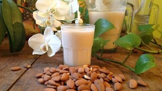 Soured Almond Milk  PlantBased Fermented Milk [upl. by Einnok430]