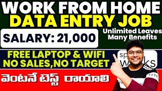 DATA ENTRY JOB  SALARY 21000Month  Permanent Work From Home jobsOn the Spot Test VtheTechee [upl. by Korey771]