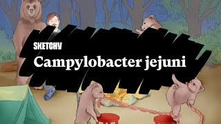 Campylobacter jejuni Causes Symptoms amp Complications Full Lesson Sketchy Medical  USMLE Step 1 [upl. by Enilauqcaj]