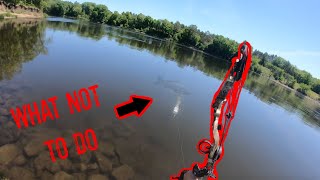 What NOT to do While BOWFISHING Bad Idea [upl. by Kirsten]