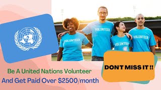 How To Be a UN Volunteer  And Get Paid Over 2500month [upl. by Juliana]