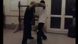 Hak Yiu 1st stage Pan Nam Wing Chun Drill [upl. by Frasier]