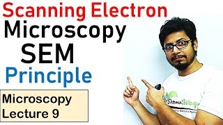 Scanning electron microscope principle working SEM [upl. by Edik]