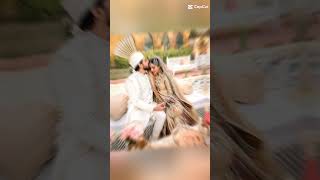 Saboor Ali wedding pics youtubeshorts Syedalaiba890 bollywood song [upl. by Franek599]