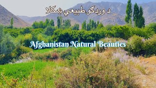 Discover the Natural Beauty of Alasang Village Wardak Afghanistan  Afghanistan Natural Beauties [upl. by Doomham]