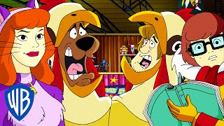 ScoobyDoo  Scooby Dooby Slay  WB Kids [upl. by Tebasile229]