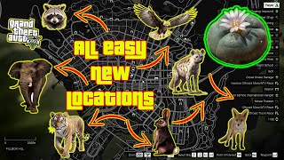 GTA V  All Easy Peyote Plants Location Guide in Story Mode XBOX PC PS4 PS5 [upl. by Janie]