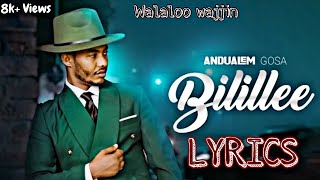 Bilillee Andualem Gosa Lyrics Video [upl. by Faludi]