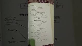 FORMULATION OF HYPOTHESIS hindi notes [upl. by Nylirahs]